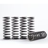 HINSON Sada spojkových pružín HINSON CS215-5-001 (replacement spring kit for H215)