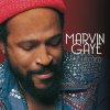 Gaye Marvin: Collected - 2Vinyl (LP)