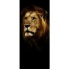 Fototapeta - DV1371 - Lev Vliesová fototap. - 91cm x 211cm