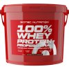 Scitec Nutrition 100% Whey Protein Professional 5000 g, jahoda