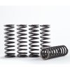 HINSO HI-TEMP CLUTCH SPRING KIT