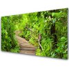 Obraz na akrylátovom skle Schody príroda 100x50 cm