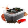 DELPHIN Reaxe Ready&Go Pellet box + booster + Wafters