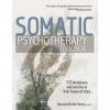 Somatic Psychotherapy Toolbox (Manuela Mischke Reeds)(Brožovaná)