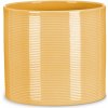 Obal 828 Zabaione lesk 19 - 3 ks