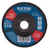 Extol Premium 8803472 kotúč lamelový šikmý korundový, O125mm, P40