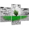 Zelený ostrov vo vyprahnutej krajine - obrazy do obývačky (Obraz 90x60cm)