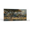 Príroda Súmrak v savane | Obrazy Vintessia Rozmery panoráma: 50x100