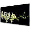 Nástenný panel Kvety rastlina príroda 100x50 cm