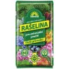 Rašelina Forestina substrát 60l