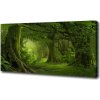 Foto obraz na plátne Tropická džungľa 100x50 cm