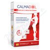CALMADOL 6 náplastí s hřejivým účinkem