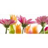 DIMEX | Panoramatická vliesová fototapeta na stenu Jarné kvety MP-2-0142 | 375 x 150 cm | biela, ružová, žltá, zelená + Panoramatická vliesová fototapeta na múr DIMEX Jarné kvety MP20142 v rozmere 375
