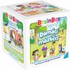 Asmodee Czech Republic BrainBox Domácí mazlíčci - CZ