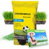 Semená športového trávnika Barenbrug RPR Play Sport 10 kg na 500 m2
