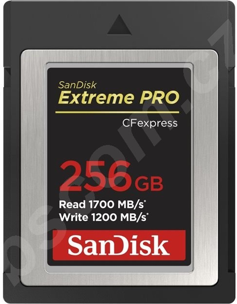SanDisk 256GB SDCFE-256G-GN4IN
