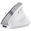 Trust Bayo+ Multidevice Ergonomic Wireless Mouse 25399