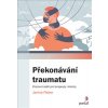 Překonávání traumatu Pracovní sešit pro terapeuty i klienty - Fischer Janina