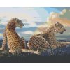 Zuty – Maľovanie Podľa Čísel – Ležiaci Leopard (D. Rusty Rust), 80 × 100 cm, Plátno + Rám 8596530173991