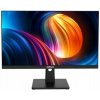 LCD monitor Dahua LM25-B221B 24,5