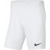 Nike pánske športové šortky pred koleno BV6855