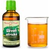 Bylinné kapky Slivka africká (Prunus africana syn. Pygeum africanum) - bylinné kvapky (tinktúra) 50 ml