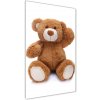 Vertikálny moderný akrylový fotoobraz Plyšový medvedík 50x100 cm