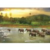 Puzzle Eurographics Puzzle Save Our Planet: Dažďový prales 1000 dielikov (628136655408)