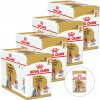 Royal Canin Yorkshire 48 x 85 g