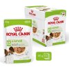 ROYAL CANIN Adult xs-small - vlhké krmivo pro psy - 12 x 85g