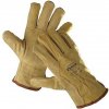 Červa Rukavice PIGEON 10, kožené, bravčovina, pánske