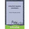 E-kniha Stručný dejepis Uhorska I - Franko Víťazoslav Sasinek