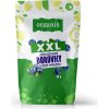 ORGANIS Čučoriedky sušené mrazom XXL 90 g