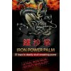 Iron Power Palm: 97 days to skull smashing power (MR Gareth Morgan Thomas)(Brožovaná)