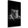 Vertikálny moderný fotoobraz canvas na ráme Tiger 50x100 cm