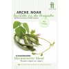 Arche Noah Bio fazuľa tyčková 