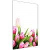 Vertikálny foto obraz fotografie na skle Ružové tulipány 50x100 cm
