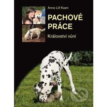 Pachové práce - Anne Lill Kvam