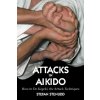 Attacks in Aikido
