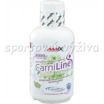 Amix CarniLine Pro Fitness + Bioperine 480 ml