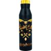 Diabolo Nerezová termo fľaša Harry Potter 580 ml
