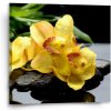 Sablio Obraz Žlté Orchidey - 50x50 cm