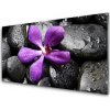 Sklenený obklad Do kuchyne Kvet kamene umenie 100x50 cm