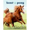 Koně a pony - Caroline Stamps