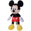 Disney Mickey