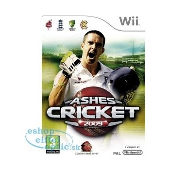 Ashes Cricket 2009