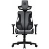 Canyon ABCH01, Morphos, ergonomické herné kreslo, čierno-šedé CNS-ABCH01GYB