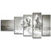 Sablio Obraz - 5-dílný Biele kone - 100x60 cm