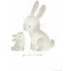 Plagát A3 Baby Bunny