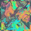 Psychedelic Porn Crumpets - Shyga! The Sunlight Mound / Vinyl [LP]